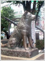 Памятник Хачико в Японии